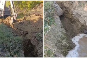 Коммунальщики спасли лося из ямы с водой