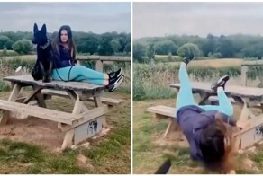 Собаки выгуливают своих людей