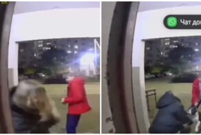 Агрессивный пёс напал на собаку девочки-подростка в Омске