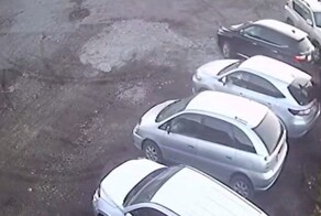 Момент нападения медведя на автомобилиста попал на видео