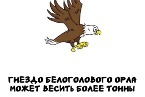 А вдруг ты не знал…