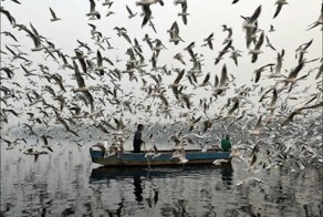 Всё вразнобой&nbsp;