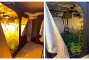 Силовики нагрянули к очередному "весёлому фермеру"