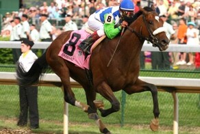 Печальный пост. Почему лошади нельзя вылечить перелом ноги? Даже лучшие врачи почти не имеют шансов