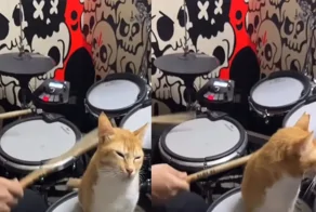 Массаж барабанной палочкой