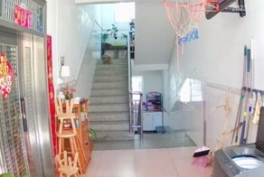 Как черепаха по лестнице спуститься пыталась