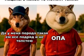 Намешалось