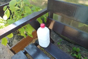 В Ленинградской области от палёного алкоголя умерли 12 человек