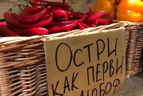 Не просто приправа: чили против паразитов