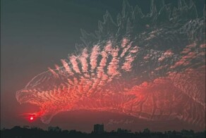 Всё вразнобой 
