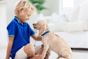 Собака в доме положительно влияет на здоровье ребёнка
