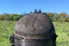 В Аргентине неопознанный мохнатый объект упал на ферму