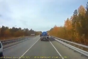 Прилетел нежданчик