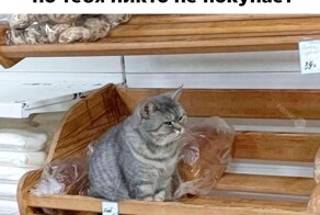 Скрины из соцсетей