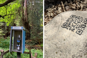 15 загадочных случаев, когда люди находили в лесу вещи и задавались вопросом «откуда они там взялись?»