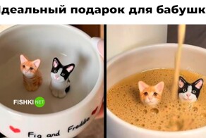 Не ищите здесь смысл. Здесь в основном маразм