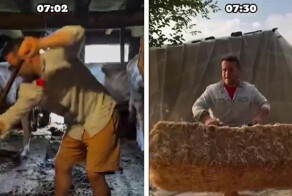 Обычный день фермера в деревне