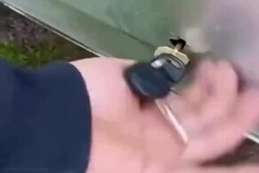 Была найдена самая эффективная противоугонная система
