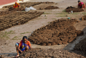 Тут нет победителей — драка коровьим навозом