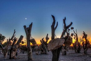 Каменный сад Дарвиш Хана и его история создания