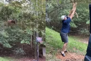 Спасение кота обернулось курьёзом