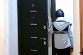 В Подмосковье задержали курьера-мигранта, попытавшегося изнасиловать ребёнка