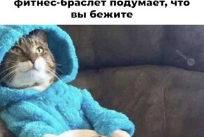 Не ищите здесь смысл. Здесь в основном маразм