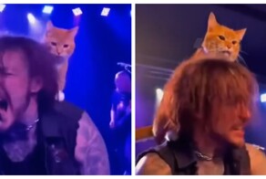 Лучший дуэт металлистов