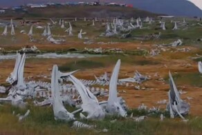 Китовое кладбище на Чукотке