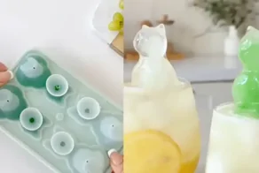 Забавная форма для льда