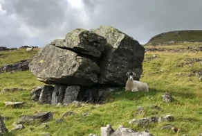 Ледниковый фокус Норбера длиной в тысячелетия