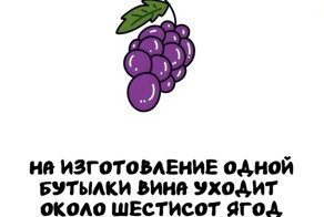 А вдруг ты не знал…