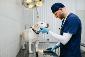 Всё вразнобой&nbsp;