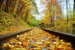 Гуамское ущелье в октябре