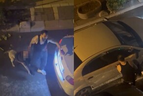 "Чуть не разорвал": в Турции питбуль вцепился в руку хозяину