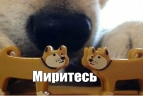 "Мирись, мирись, мирись": в Госдуме поддержали идею обязательной процедуры примирения перед разводом