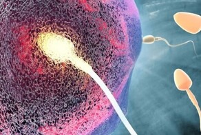 Есть красивая теория о том, что так в наш мир приходит душа