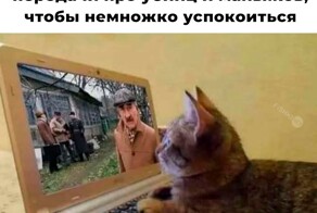 Скрины из соцсетей