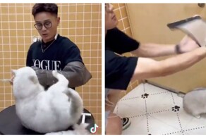 Симпатичная, но крайне нервная клиентка