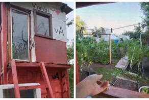 Зато не в ипотеку: мальчик своими руками построил дом