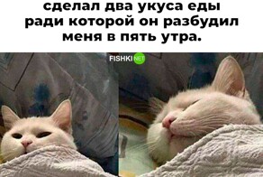 Скрины из соцсетей