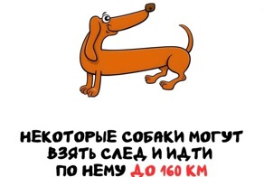 А вдруг ты не знал…