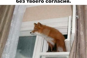 Не ищите здесь смысл. Здесь в основном маразм