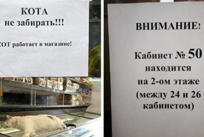 15 странных и забавных объявлений, созданных людьми, которые могут ко всему найти нестандартный подход