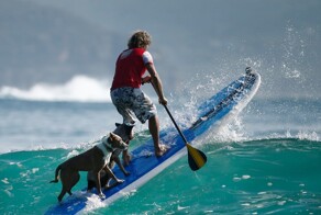 На общую тему&nbsp;