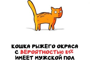 А вдруг ты не знал…