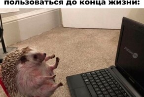 Не ищите здесь смысл. Здесь в основном маразм