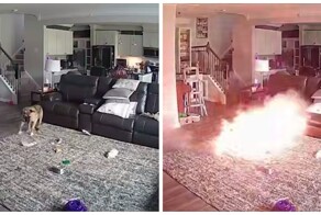 Пёс пожарного чуть не спалил его дом