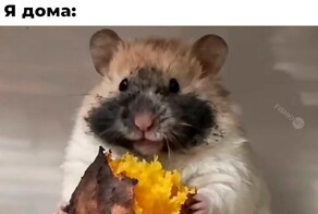 Смешные картинки