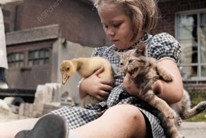 Подборка смешных и забавных фотографий с котами, которые поднимут настроение